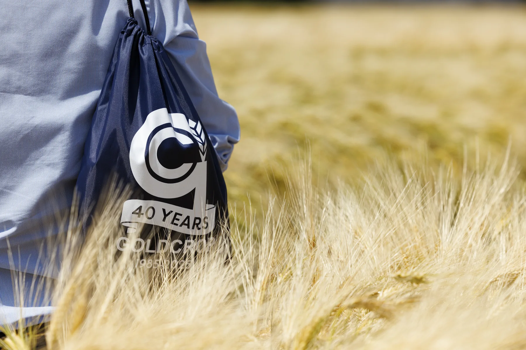 Goldcrop 40 Years bag carried through a field of ripe grain